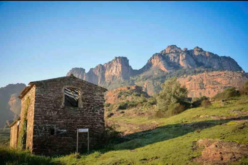 Villa Alisa Avec Piscine Privee Roquebrune-sur-Argens Eksteriør billede