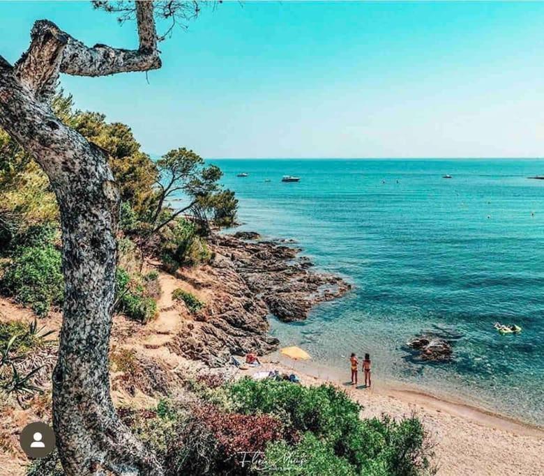 Villa Alisa Avec Piscine Privee Roquebrune-sur-Argens Eksteriør billede