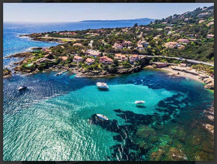 Villa Alisa Avec Piscine Privee Roquebrune-sur-Argens Eksteriør billede